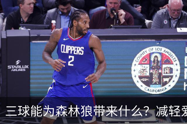 三球能为森林狼带来什么？减轻爱德华兹单打负担 麦丹能惩罚对手