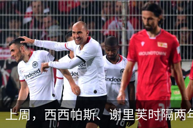 上周，西西帕斯、谢里芙时隔两年再夺冠，其他夺冠选手皆迎突破