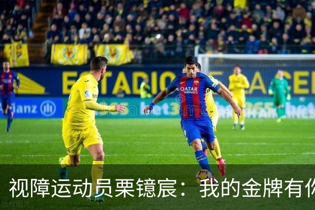 视障运动员栗镱宸：我的金牌有你一半！